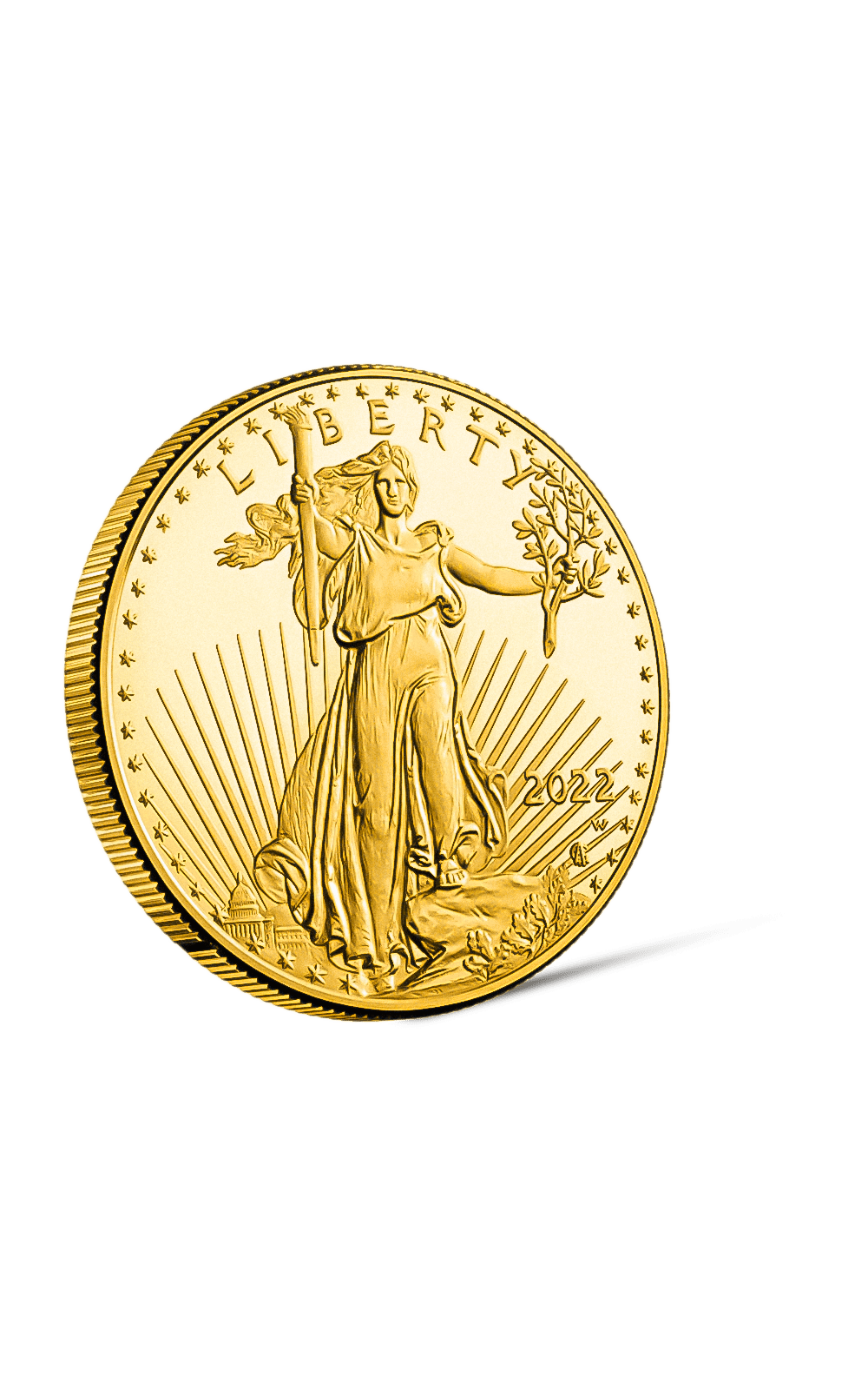 1 oz American Eagle Gold Coin - GoldUnion UK