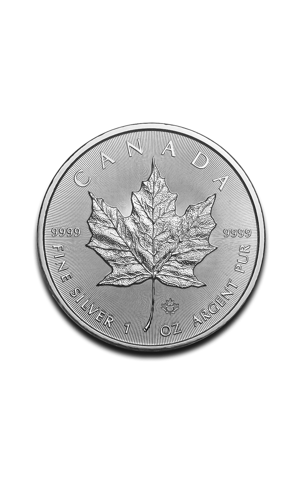 1 oz Maple Leaf Silver Coin - GoldUnion UK