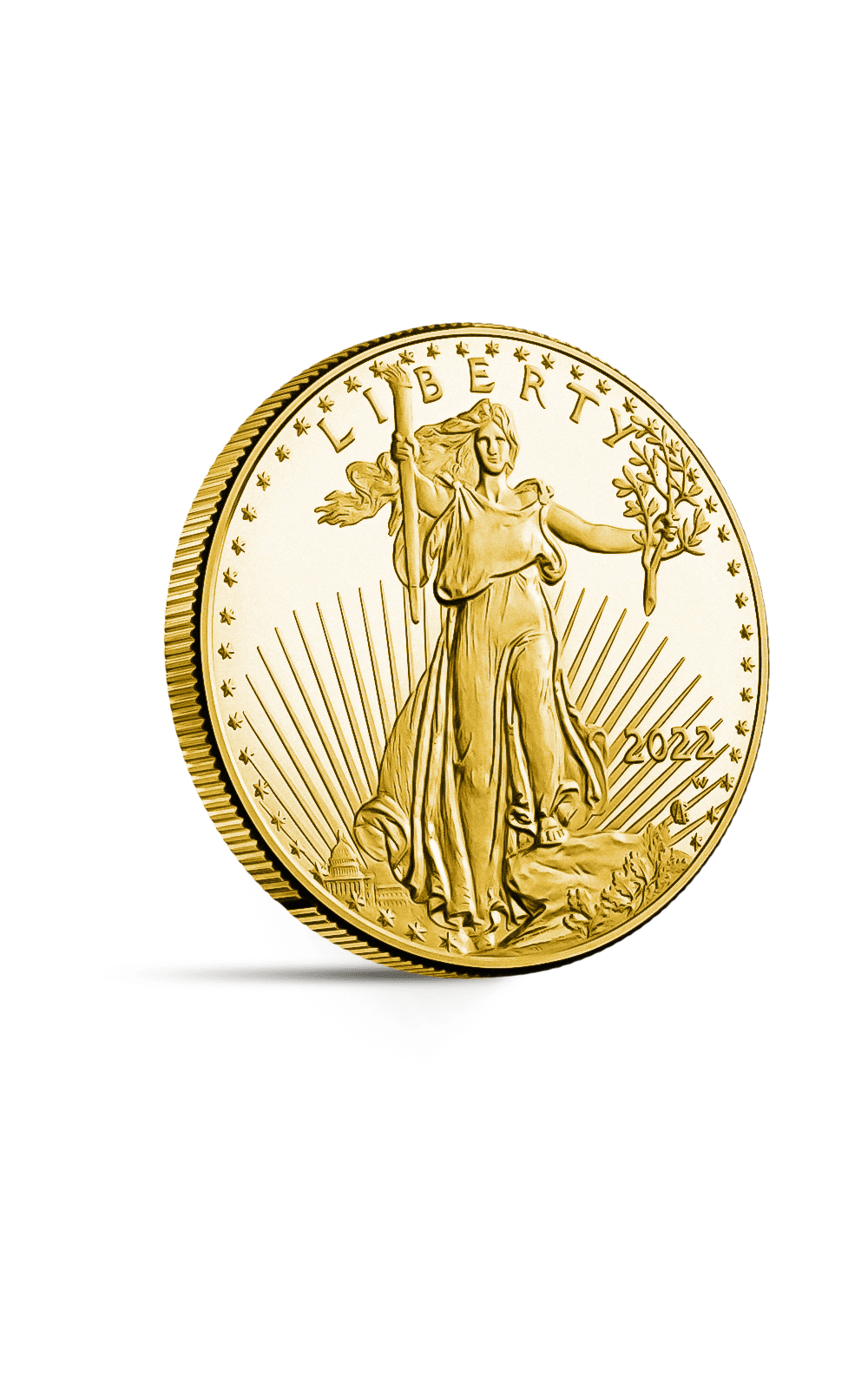 1/2 oz American Eagle Gold Coin - GoldUnion UK
