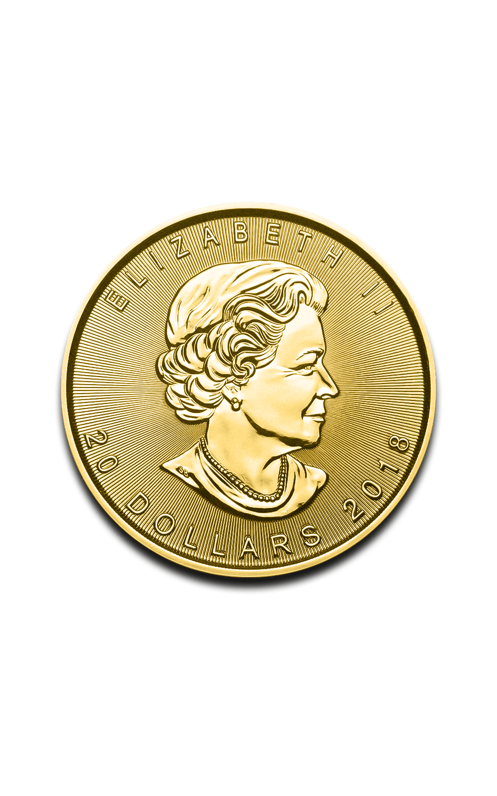 1/2 oz Maple Leaf Gold Coin - GoldUnion UK