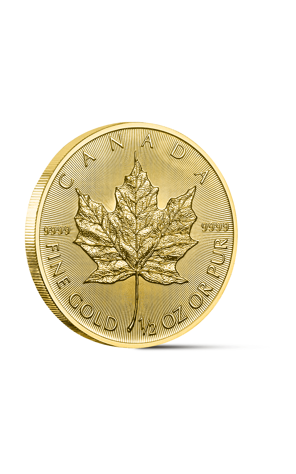 1/2 oz Maple Leaf Gold Coin - GoldUnion UK
