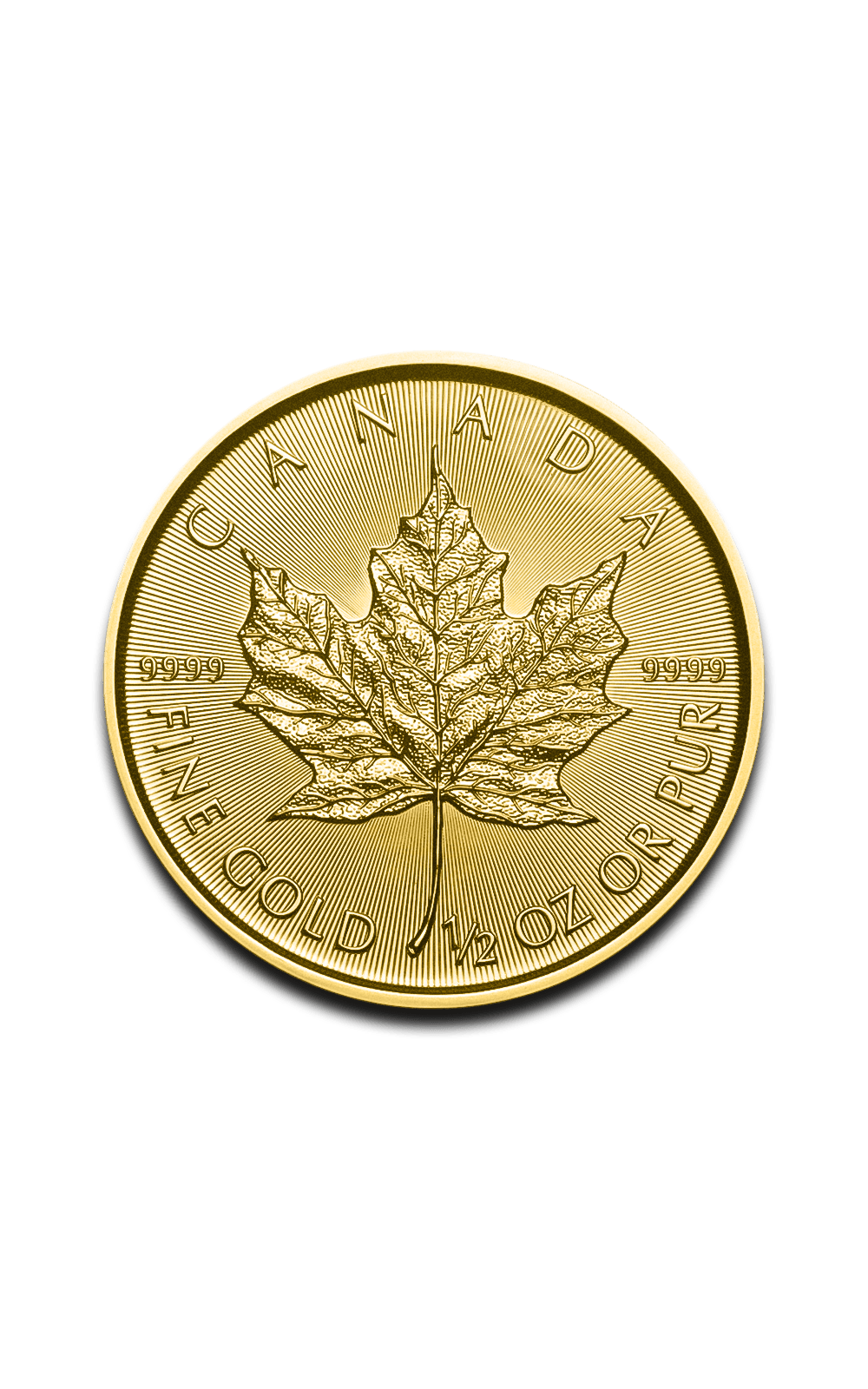 1/2 oz Maple Leaf Gold Coin - GoldUnion UK