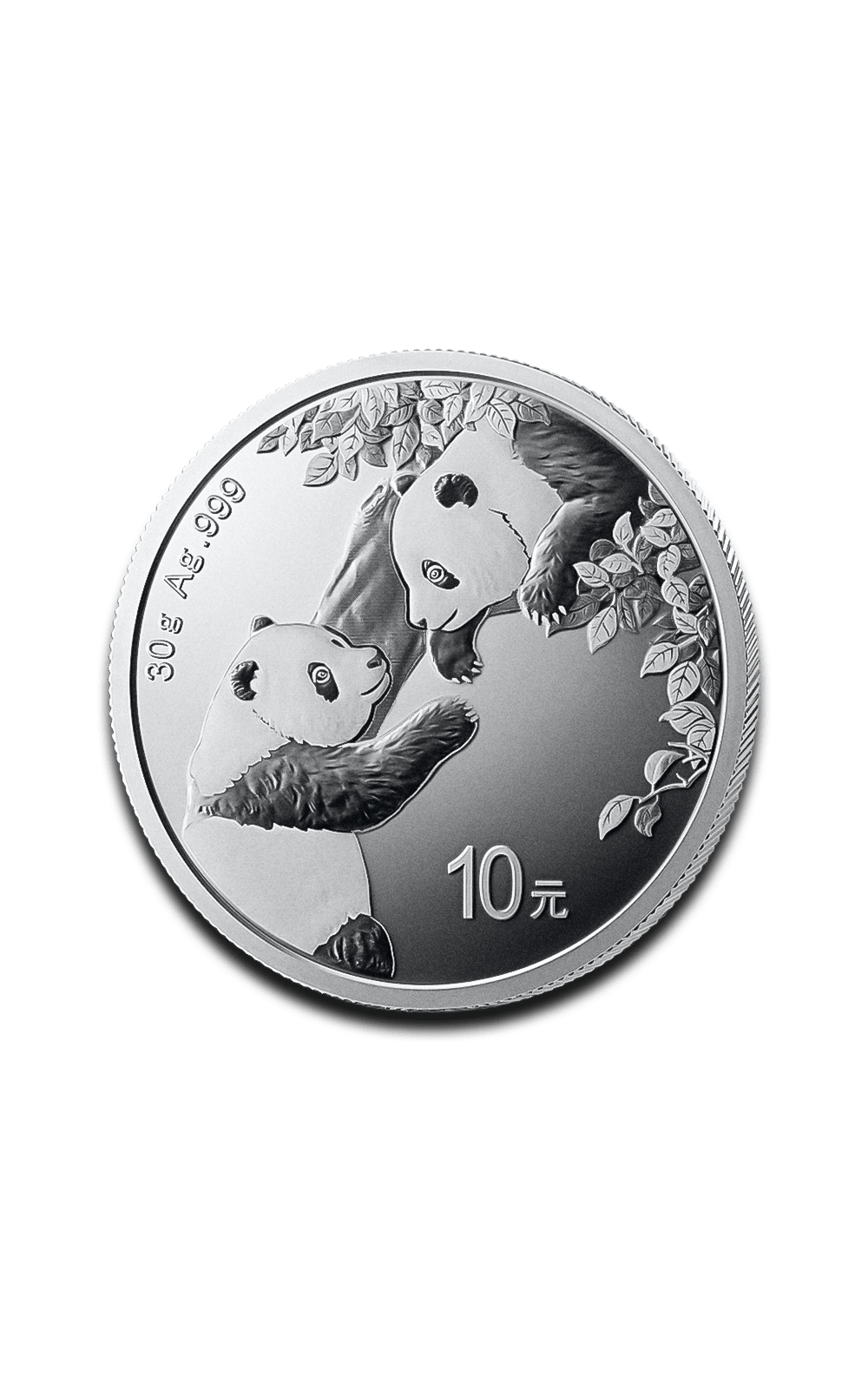 30g China Panda Silver Coin - GoldUnion UK