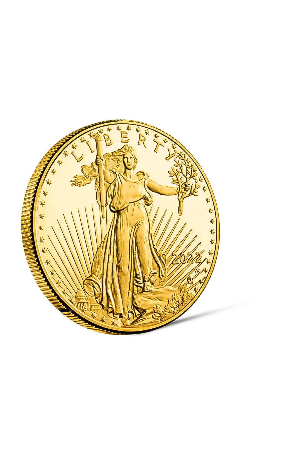 1 oz American Eagle Gold Coin