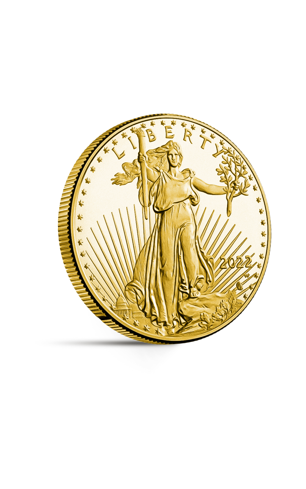 1/2 oz American Eagle Gold Coin