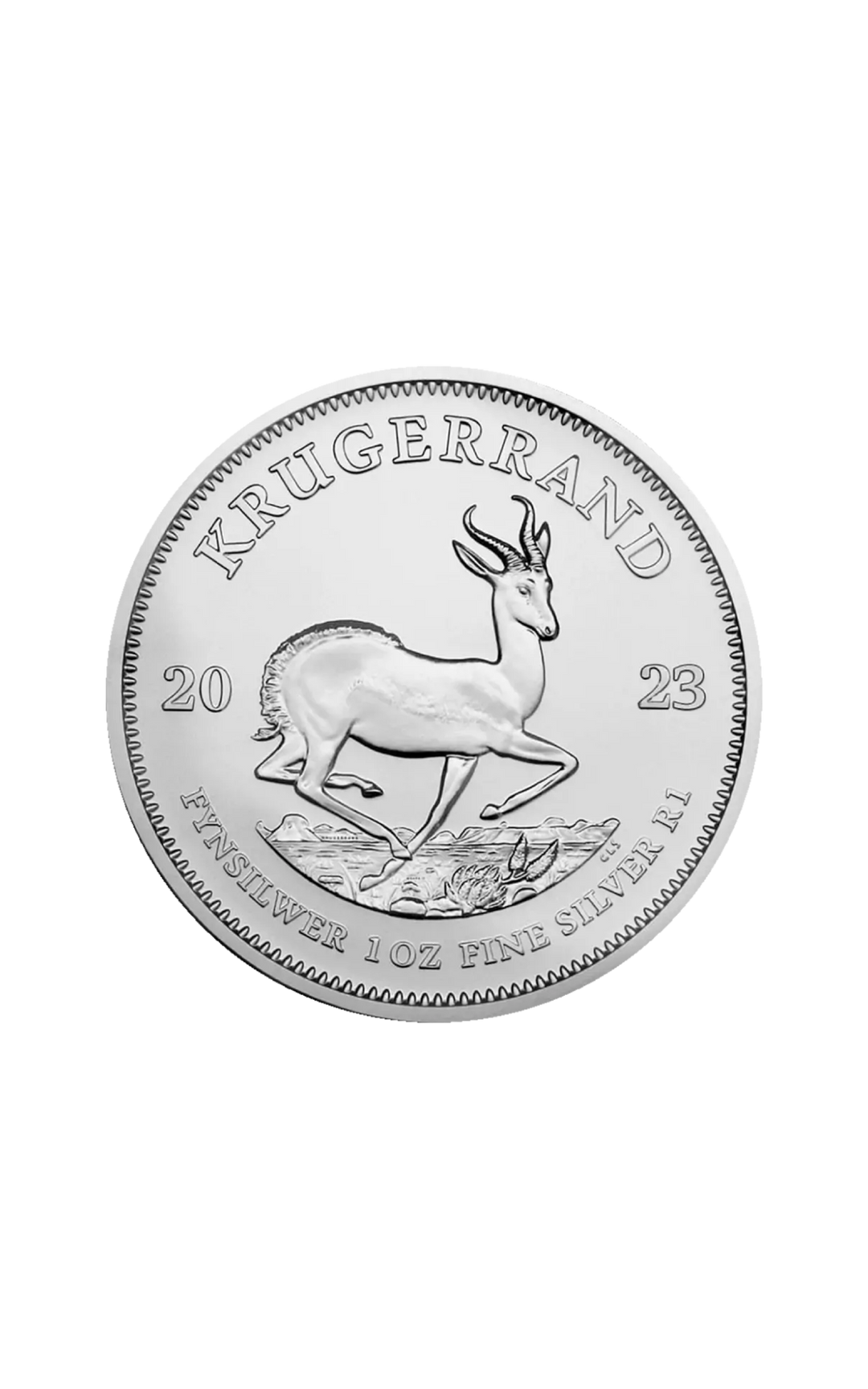 1 oz Krugerrand Silver Coin