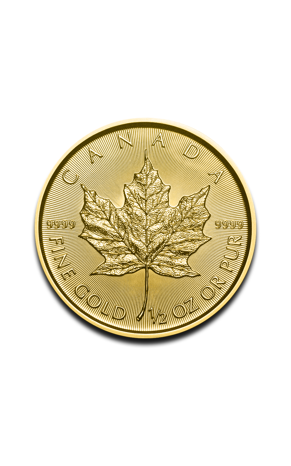 1/2 oz Maple Leaf Gold Coin