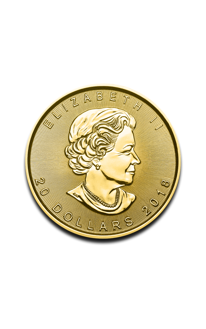 1/2 oz Maple Leaf Gold Coin