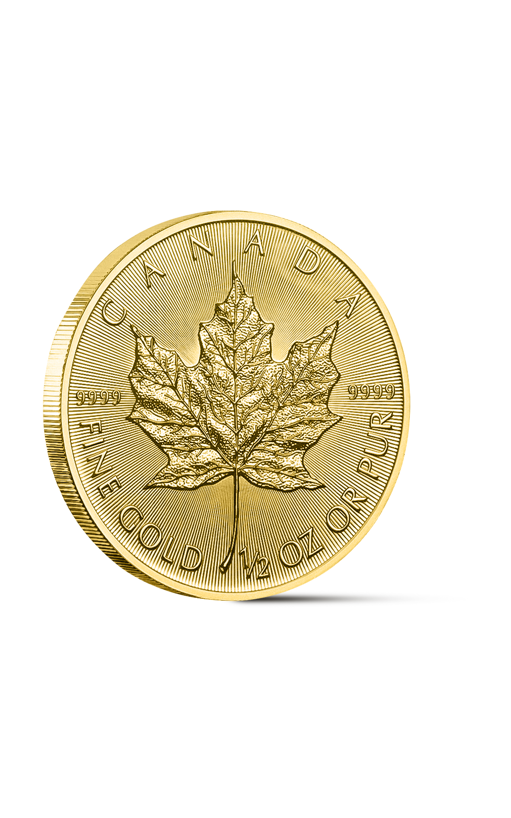 1/2 oz Maple Leaf Gold Coin