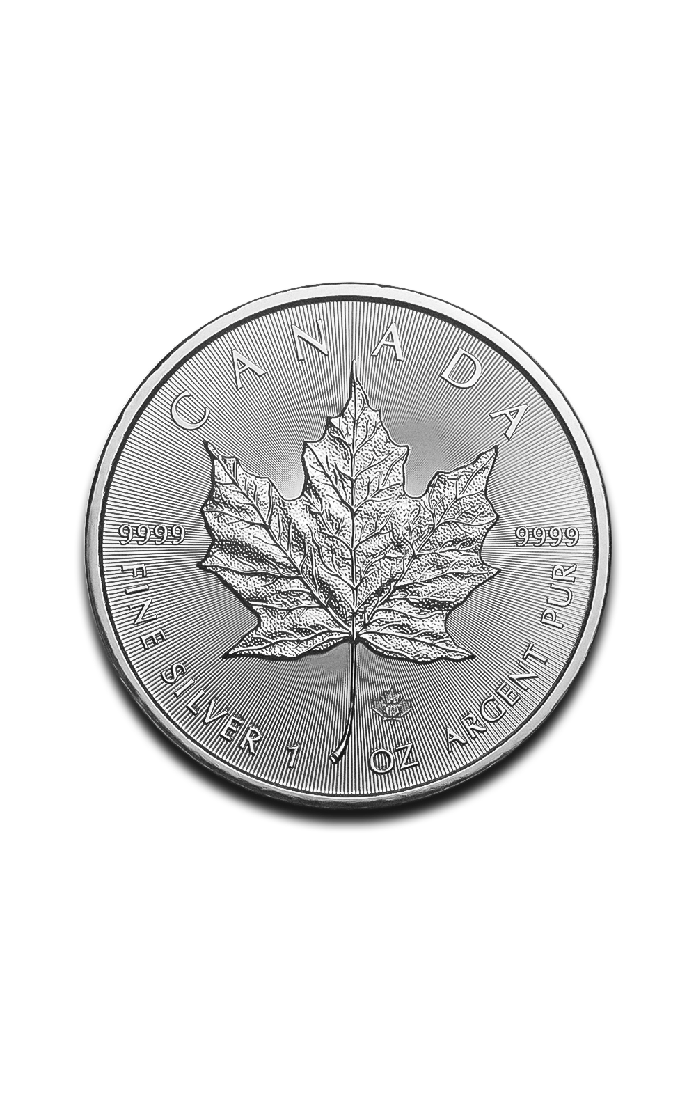 1 oz Maple Leaf Silver Coin