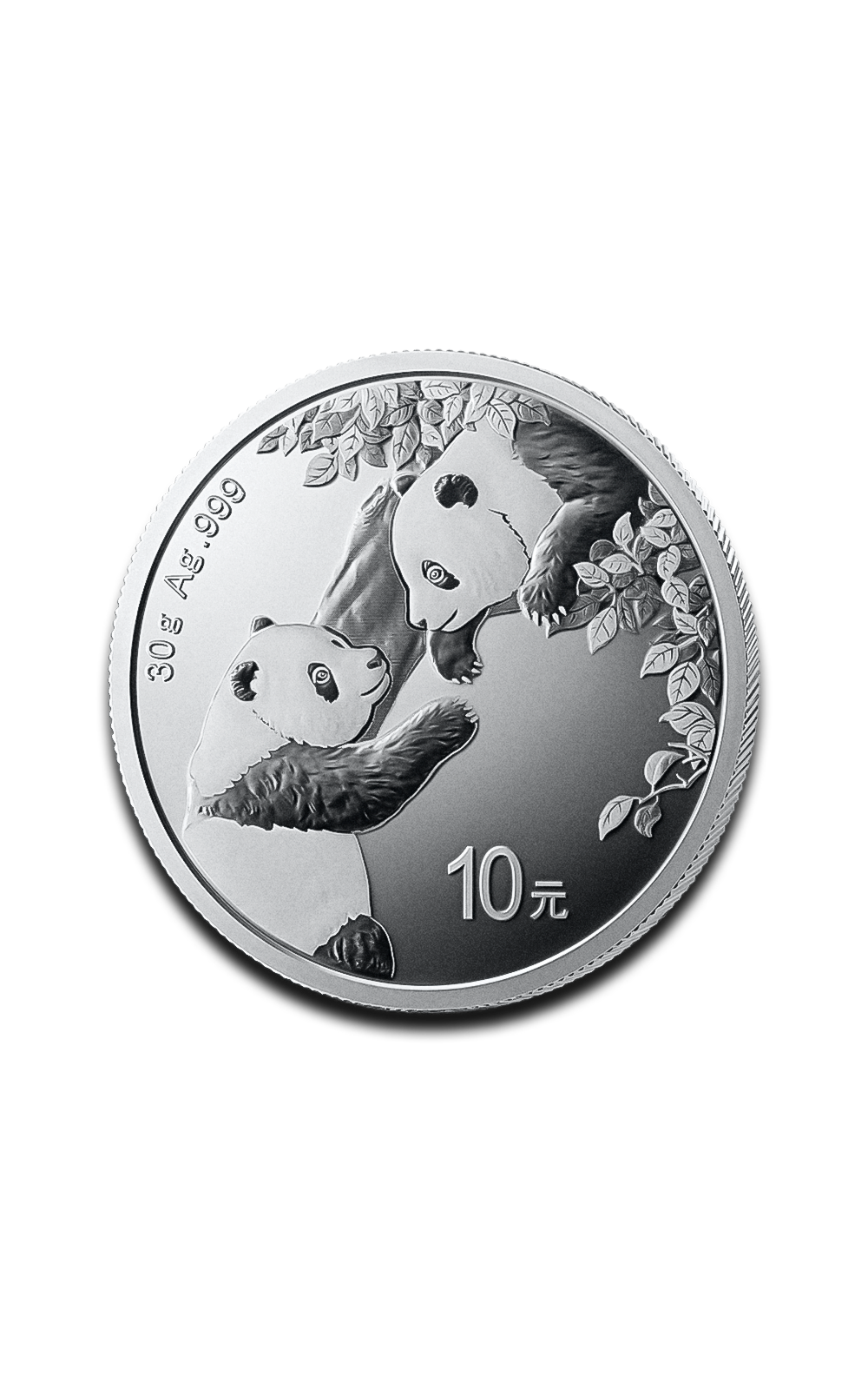 30g China Panda Silver Coin