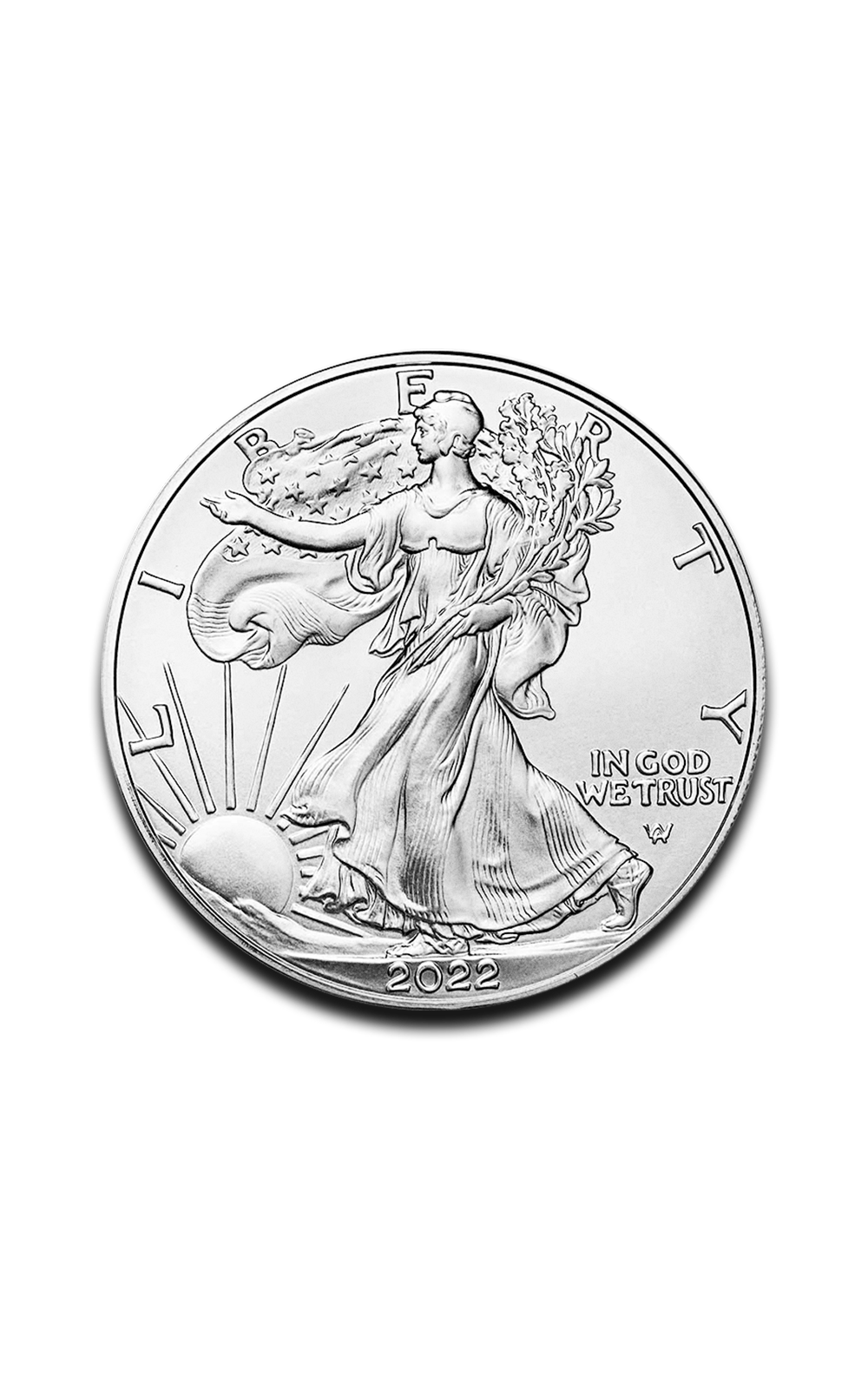 1 oz American Eagle Silver Coin