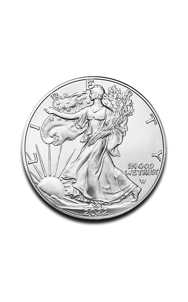 1 oz American Eagle Silver Coin