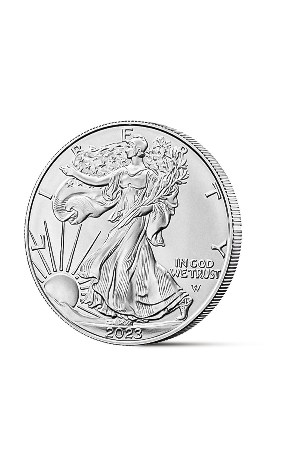 1 oz American Eagle Silver Coin