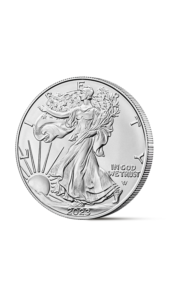 1 oz American Eagle Silver Coin